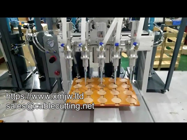 Højhastigheds 5L Trykbeholder 5-Hoved Limdispenser | Multihoved Automatisk Limdispenser Robot
